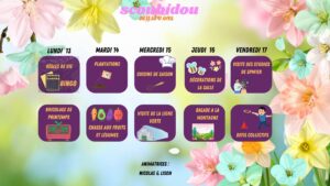 Copie De Super Heroscoobidoo